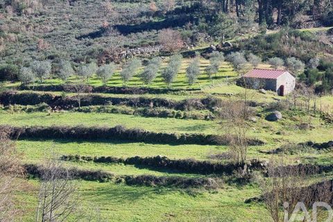 Byhus i Celorico da Beira, Guarda, Celorico da Beira - € 74.500 | Ref: 93091 - foto 19