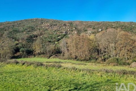 Byhus i Celorico da Beira, Guarda, Celorico da Beira - € 74.500 | Ref: 93091 - foto 22