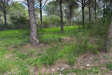 Terra a Aljaraque, Huelva, Aljaraque - € 65.000 | Ref: TT00317/10764 - foto 2