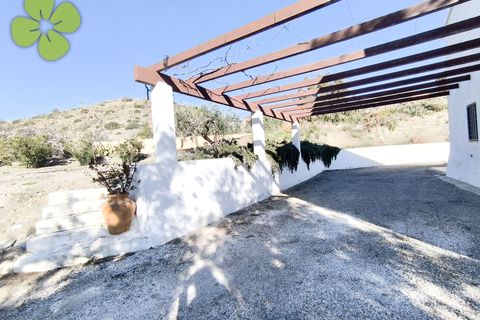 Landejendom i Albox, Almeria, Albox - € 179.900 | Ref: CRE-2670 - foto 26