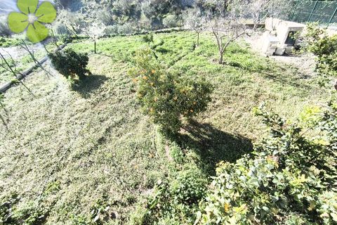 Landejendom i Albox, Almeria, Albox - € 179.900 | Ref: CRE-2670 - foto 27
