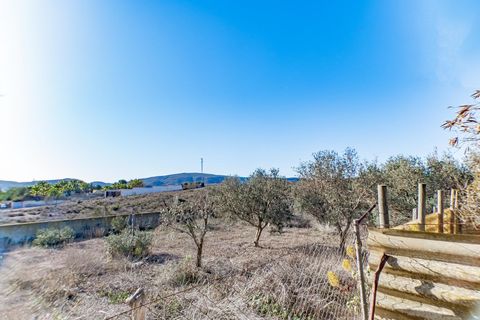 Terra a Nijar, Almeria, Nijar - € 110.000 | Ref: EXP13550/8930 - foto 19
