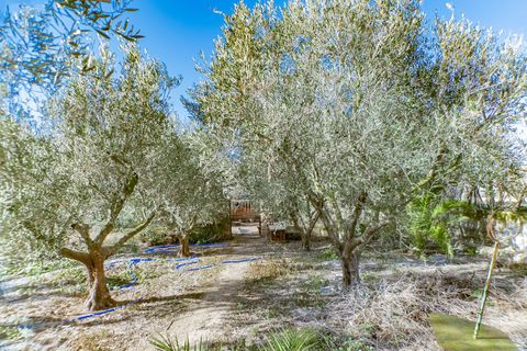 Terra a Nijar, Almeria, Nijar - € 110.000 | Ref: EXP13550/8930 - foto 21
