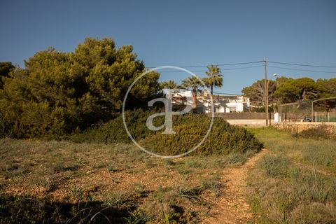 Helårsgrund i Llucmajor, Mallorca, Llucmajor - € 1.250.000 | Ref: VPM2603024 - foto 19