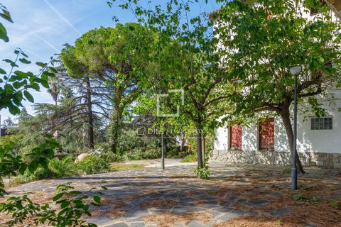 Villa i Premia De Dalt, Barcelona, Premia De Dalt - € 1.250.000 | Ref: MRS44722 - foto 7