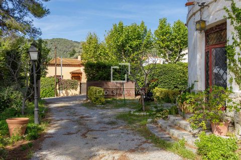 Villa i Premia De Dalt, Barcelona, Premia De Dalt - € 1.250.000 | Ref: MRS44722 - foto 32