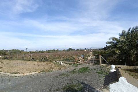 Lejlighed i Elche, Alicante, Elche - € 680.000 | Ref: 1RE1181 - foto 25
