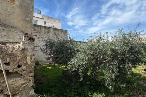 Helårsgrund i Jacarilla, Alicante, Jacarilla - € 99.000 | Ref: AG19MLSC1277456 - foto 6