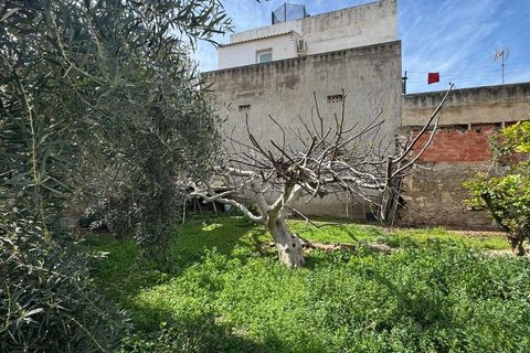 Helårsgrund i Jacarilla, Alicante, Jacarilla - € 99.000 | Ref: AG19MLSC1277456 - foto 7
