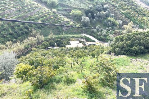Villa a Sayalonga, Malaga, Sayalonga - € 210.000 | Ref: CV966 - foto 17