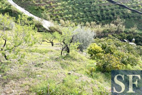 Villa a Sayalonga, Malaga, Sayalonga - € 210.000 | Ref: CV966 - foto 19