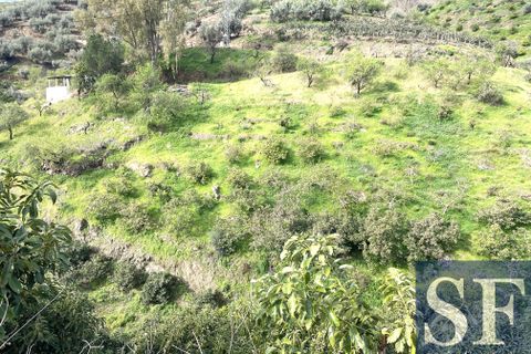 Villa a Sayalonga, Malaga, Sayalonga - € 210.000 | Ref: CV966 - foto 20