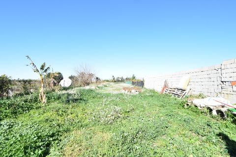 Finca i Daya Nueva, Alicante, Daya Nueva - € 210.000 | Ref: 200-4655 - foto 30
