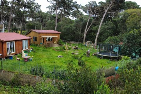 Helårsgrund i Sintra, Lisbon, Sintra - € 555.000 | Ref: KWPT-029337 - foto 7
