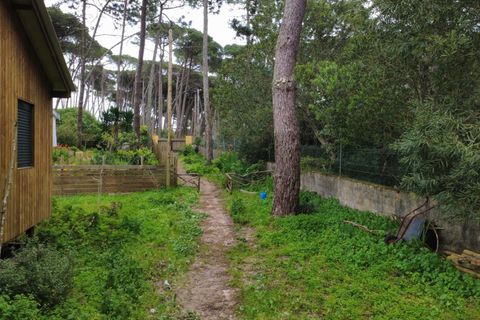 Helårsgrund i Sintra, Lisbon, Sintra - € 555.000 | Ref: KWPT-029337 - foto 28