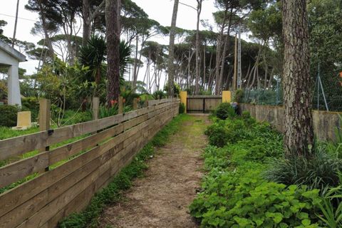 Helårsgrund i Sintra, Lisbon, Sintra - € 555.000 | Ref: KWPT-029337 - foto 29