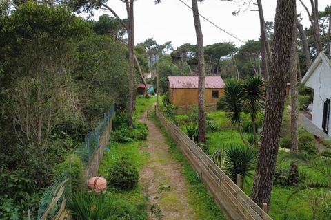 Helårsgrund i Sintra, Lisbon, Sintra - € 555.000 | Ref: KWPT-029337 - foto 30