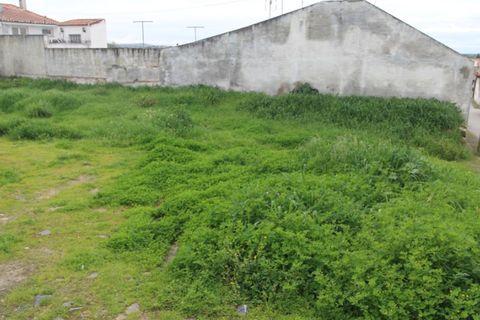 Helårsgrund i Beringel, Beja, Beringel - € 45.000 | Ref: 2089 - foto 3