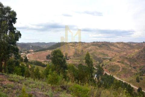 Farm i Silves, Faro, Silves - € 1.250.000 | Ref: 10876A - foto 5