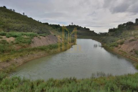 Farm i Silves, Faro, Silves - € 1.250.000 | Ref: 10876A - foto 6