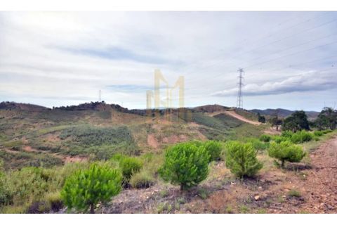 Farm i Silves, Faro, Silves - € 1.250.000 | Ref: 10876A - foto 10
