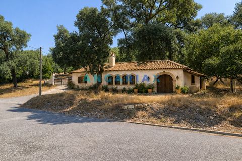 Terra em Abrantes, Santarem, Abrantes - € 117.000 | Ref: ANG1558 - foto 1