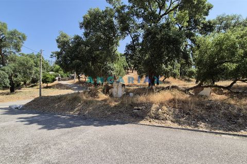Terra em Abrantes, Santarem, Abrantes - € 117.000 | Ref: ANG1558 - foto 2