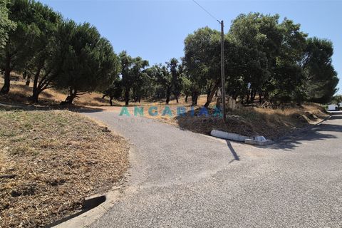 Terra em Abrantes, Santarem, Abrantes - € 117.000 | Ref: ANG1558 - foto 3