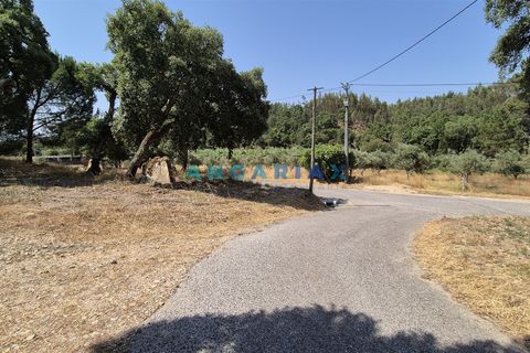 Terra em Abrantes, Santarem, Abrantes - € 117.000 | Ref: ANG1558 - foto 4