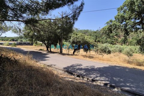 Terra em Abrantes, Santarem, Abrantes - € 117.000 | Ref: ANG1558 - foto 6