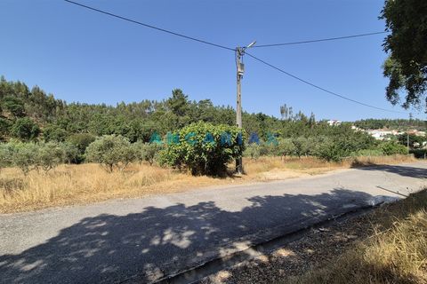 Terra em Abrantes, Santarem, Abrantes - € 117.000 | Ref: ANG1558 - foto 7