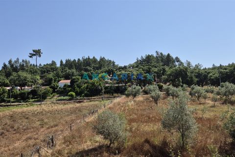 Terra em Abrantes, Santarem, Abrantes - € 117.000 | Ref: ANG1558 - foto 9
