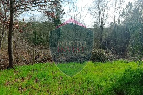Farm i Viseu, Viseu, Viseu - € 95.000 | Ref: 2213/V - foto 2