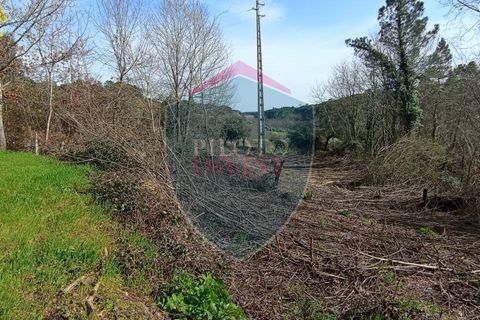 Farm i Viseu, Viseu, Viseu - € 95.000 | Ref: 2213/V - foto 3