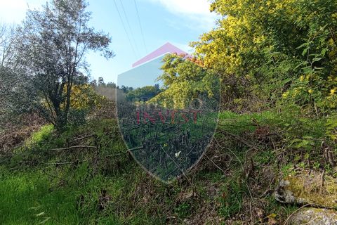 Farm i Viseu, Viseu, Viseu - € 95.000 | Ref: 2213/V - foto 4