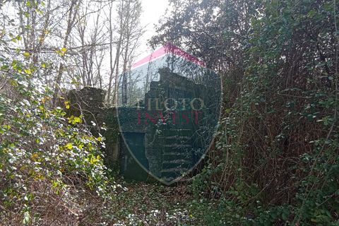 Farm i Viseu, Viseu, Viseu - € 95.000 | Ref: 2213/V - foto 5
