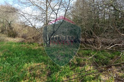Farm i Viseu, Viseu, Viseu - € 95.000 | Ref: 2213/V - foto 6