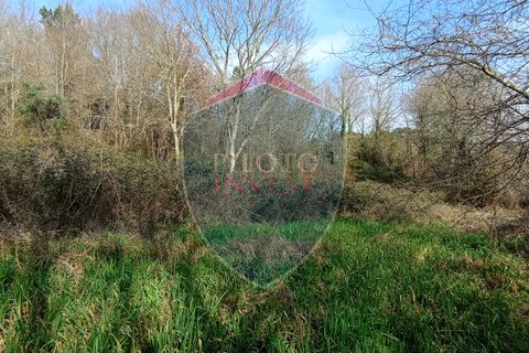 Farm i Viseu, Viseu, Viseu - € 95.000 | Ref: 2213/V - foto 7