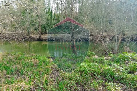 Farm i Viseu, Viseu, Viseu - € 95.000 | Ref: 2213/V - foto 8