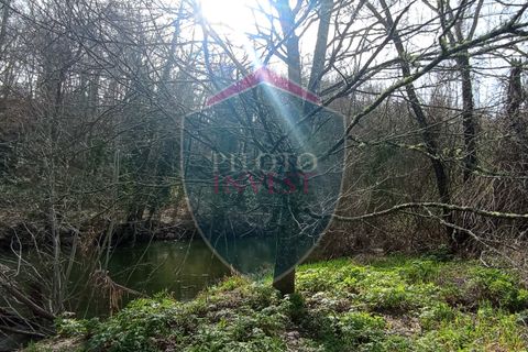 Farm i Viseu, Viseu, Viseu - € 95.000 | Ref: 2213/V - foto 9