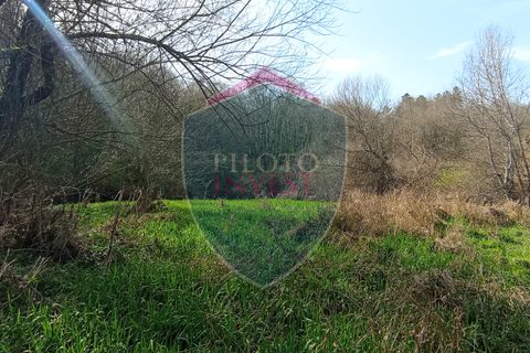 Farm i Viseu, Viseu, Viseu - € 95.000 | Ref: 2213/V - foto 10