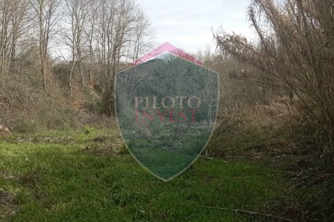 Farm i Viseu, Viseu, Viseu - € 95.000 | Ref: 2213/V - foto 11