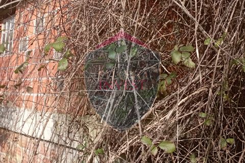 Farm i Viseu, Viseu, Viseu - € 95.000 | Ref: 2213/V - foto 12