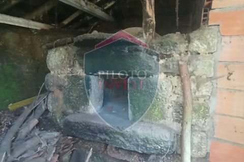 Farm i Viseu, Viseu, Viseu - € 95.000 | Ref: 2213/V - foto 13