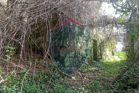Farm i Viseu, Viseu, Viseu - € 95.000 | Ref: 2213/V - foto 16