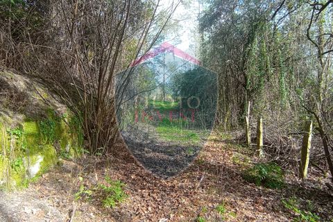 Farm i Viseu, Viseu, Viseu - € 95.000 | Ref: 2213/V - foto 17