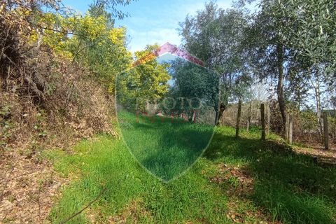 Farm i Viseu, Viseu, Viseu - € 95.000 | Ref: 2213/V - foto 18
