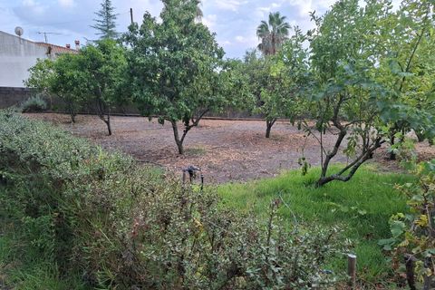 Villa a Fortios, Portalegre, Fortios - € 365.000 | Ref: SF-SAFTI:007964 - foto 8