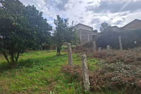 Villa a Bela, Viana do Castelo, Bela - € 55.000 | Ref: SF-SAFTI:007961 - foto 4