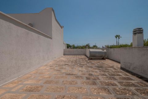 Villa i Ostuni, Brindisi, Ostuni - € 330.000 | Ref: 510 - foto 43
